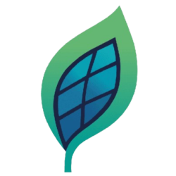 Redakcja Fundacji EFET